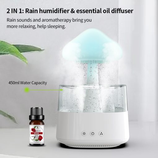 Rain Cloud Humidifier & Night Lamp