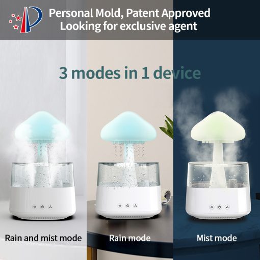 Rain Cloud Humidifier & Night Lamp