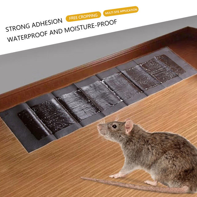 5 Extra-Large Glue Pads For Mice And Rats