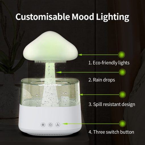 Rain Cloud Humidifier & Night Lamp