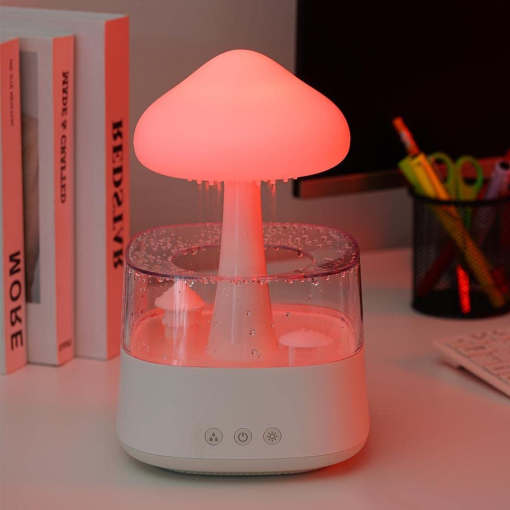 Rain Cloud Humidifier & Night Lamp